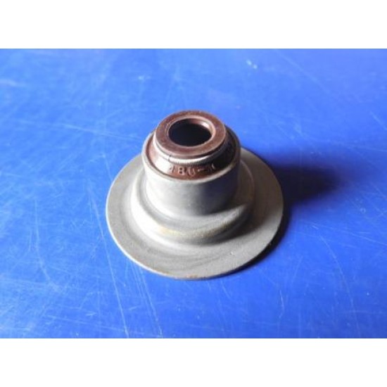 Сальники клапанов к-кт AMULET 480-1007020 (шт.)