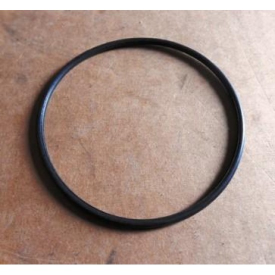 Прокладка помпы уплотнительное кольцо ЛАНОС 1,5 (шт.)