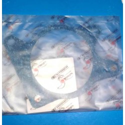 Прокладка помпы AMULET/KARRY 480-1307041